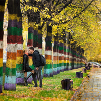 Комсомольский проспект Перми